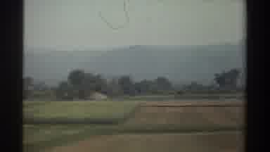Taiwan (1982): An Agricultural Field With Lot Of Trees And Other Crops Seen From A