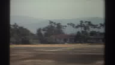 Taiwan (1982): Many Small White Buildings Along Tropic Sunny Road Palm Trees