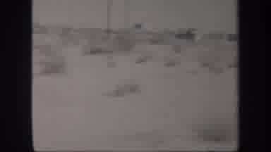 ARIZONA USA-1957: Group Of People Take Break On Roadside During Road Trip
