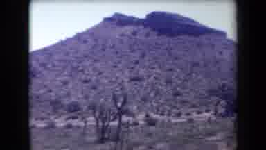 Arizona USA (1958): Three Cars Parked On Desert Road On A Bright Sunny Day