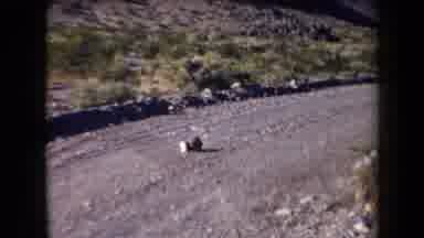 Arizona USA (1958): Practice Gun Shooting At A Can In An Open Field
