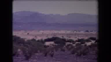 Arizona USA (1958): Video Span Of A Vast Terrain With Trees And Mountains