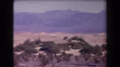Arizona USA (1958): Slow Camera Pan Over Desert Landscape On Hot Sunny Day