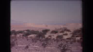 Arizona USA (1958): Panning Footage Of People Shrubs Road And Car