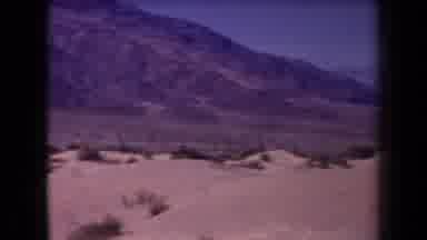 Arizona USA (1958): The Valley Of A Mountain With Lot Of Flowering Plants Making