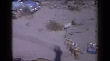 Arizona USA (1958): Bad Car Crash In The Middle Of Nowhere