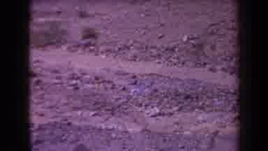 Arizona USA (1958): Nature Is Freedom