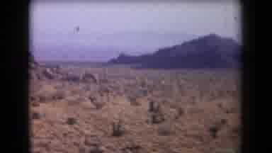 Arizona USA (1958): Daytime North American Desert Scene With Bluish Hills And