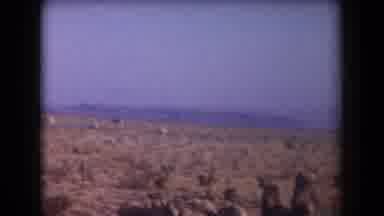 Arizona USA (1958): Panning Across An Open Field An A Nearby Rock Mountain