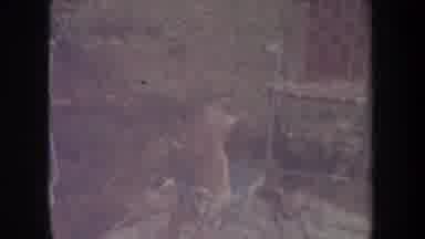 Michigan USA (1968): Riding Standing Kneeling