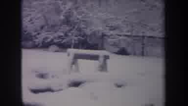 Michigan USA (1968): Puppy Loves To Run Circles On A Snowy Playground