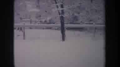 Michigan USA (1968): Dog Runs Inside Fence From Back Of Yard Sniffs Then Turns To