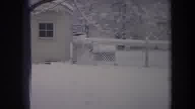Michigan USA (1968): Dog Runs Laps Around A Fenced Yard In Snow