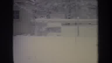 Michigan USA (1968): Dog Running In A Yard That Is Completely Covered In Snow