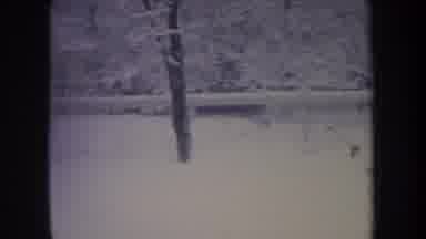 Michigan USA (1968): Dog Loves Snow Play