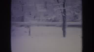 Michigan USA (1968): Very Happy Dog Running Around The Backyard In Snow Covered