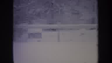 Michigan USA (1968): Dog Running In The Snow