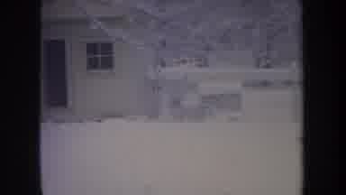 Michigan USA (1968): The Dog Is Running For His Owner To See And The Owner Is