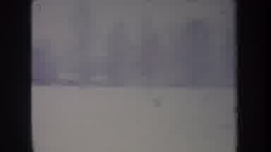 Michigan USA (1968): Trees And Open Area Covered In Snow During A Blizzard Near A