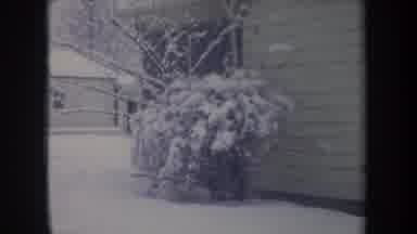 Michigan USA (1968): Small Trees And Ground Covered By Snow In Front Of A House