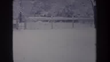 Michigan USA (1968): Dog Running A Lot With Two Garage In The Back Good For