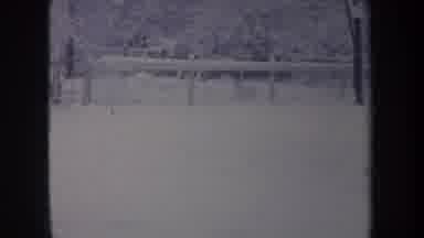 Michigan USA (1968): Snow On The Woods And A Dog Running Around