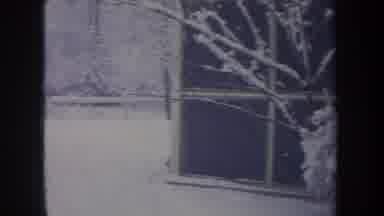 Michigan USA (1968): Garden And House Under Snow