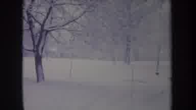 Michigan USA (1968): Snowy Wonderland Of The Winter