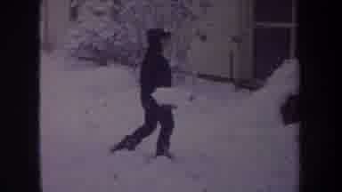 Michigan USA (1968): Dog Running A Lot With Two Garage