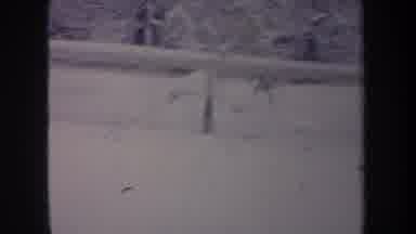Michigan USA (1968): Small Dog Running In A Fenced In Backyard In The Snow