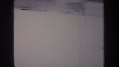 Michigan USA (1968): Dogs Playing And Having Fun In The Snow