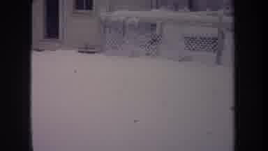 Michigan USA (1968): Energetic Dog Behind Fence Near Dog House Running Through The