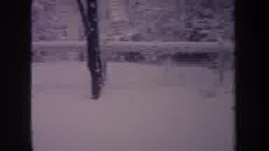 Michigan USA (1968): Dog Running Around Like A Chicken Barking While It Snows