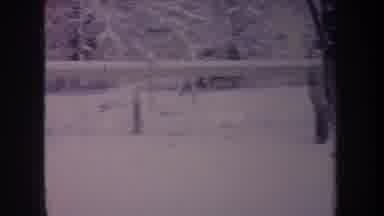 Michigan USA (1968): An Energetic Dog Playing In The Snow On A Winter's Day