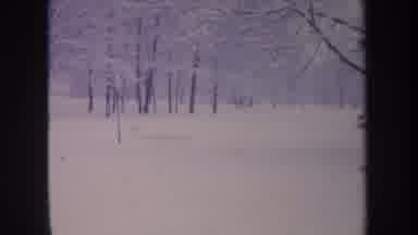 Michigan USA (1968): Day In The Snow