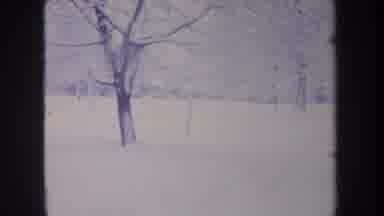 Michigan USA (1968): Small House In The Middle Of A Forest Covered By Snow