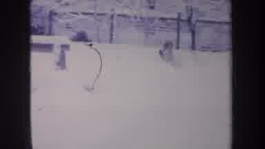 Michigan USA (1968): Black And White Dog Running Around Snowy Yard In Old Time
