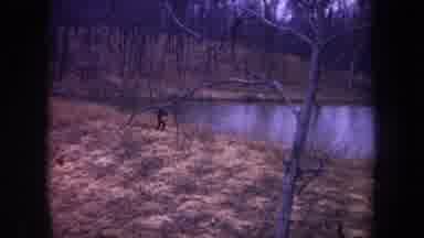 Michigan USA (1968): Man Running In The Forest