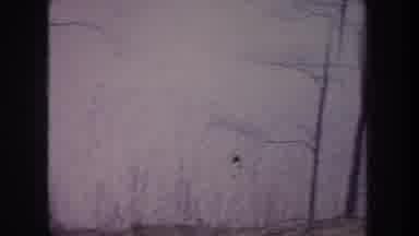 Michigan USA (1968): Winter Forest Around A Lake With No Leaves