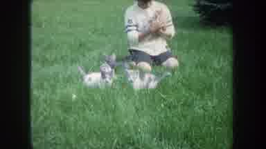 Michigan USA (1968): Small Child Petting A Litter Of Kittens