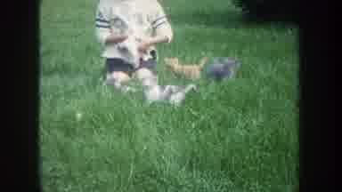 Michigan USA (1968): Child Pets Kitten On Lawn With Other Kittens Around Child On