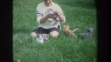 Michigan USA (1968): A Boy In A Yellow Shirt Playing With Kittens In Long Green