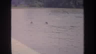Michigan USA (1968): People And Children Swimming In A Lake With Two Children In