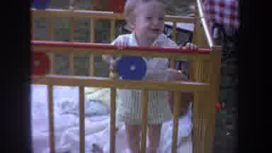 Michigan USA (1968): Summer Picnic In The Park With The Baby In The Box