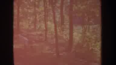 Michigan USA (1968): Child Playing Tire Swing