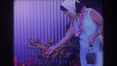 Hawaii USA (1969): Children And A Lady Amongst Flowers Against A Building