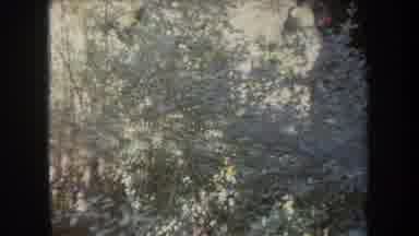 Hawaii USA (1969): A Park And A Small Bridge And A Women Near By A Beach
