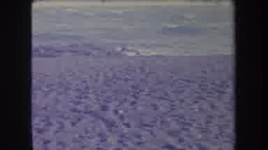 Hawaii USA (1969): Family Feeding A Whale Or Shark From The Beach By Throwing Food