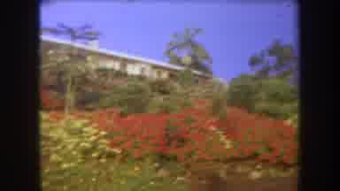 Hawaii USA (1969): A Home On An Hilltop Covered In Flowers