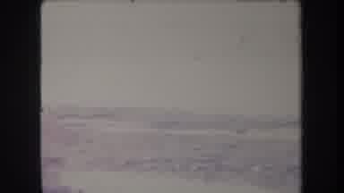 Hawaii USA (1969): Older Man With Binoculars Looking At Distant Green Palm Trees